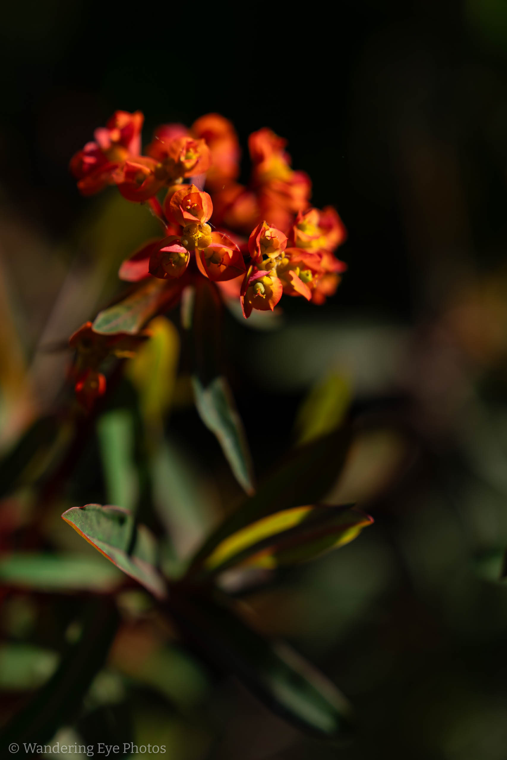 05.11 08.53.28   DSC09889